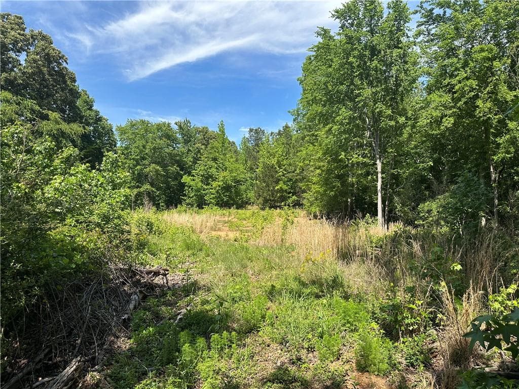 unimproved land for sale at 127 Sam Sutton Road, Adairsville, GA 30103 — photo 10