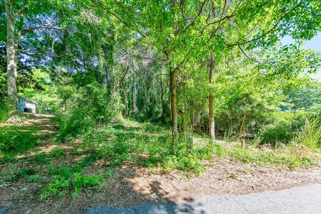 unimproved land for sale at 0 First Street, Statham, GA 30666 — photo 4