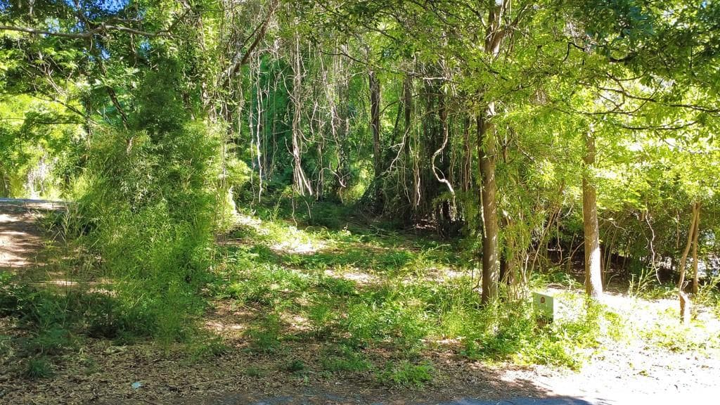 unimproved land for sale at 0 First Street, Statham, GA 30666 — photo 5