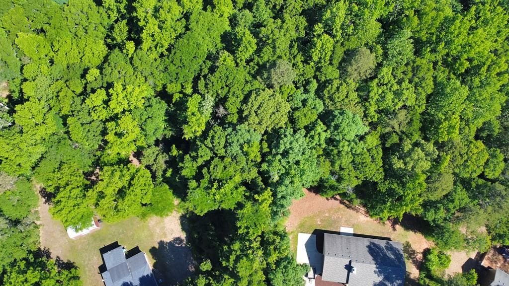 unimproved land for sale at 0 First Street, Statham, GA 30666 — photo 6