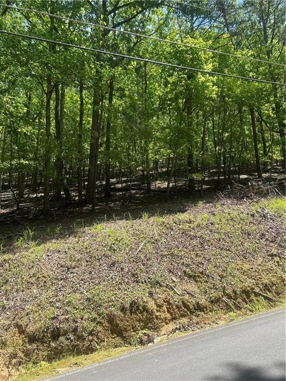 other for sale at 381 Hillside Drive, Waleska, GA 30183