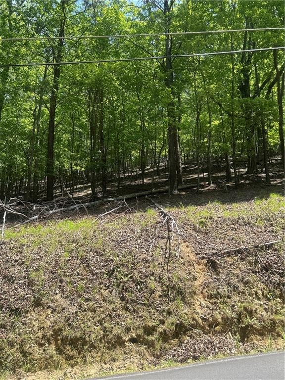 other for sale at 381 Hillside Drive, Waleska, GA 30183 — photo 2