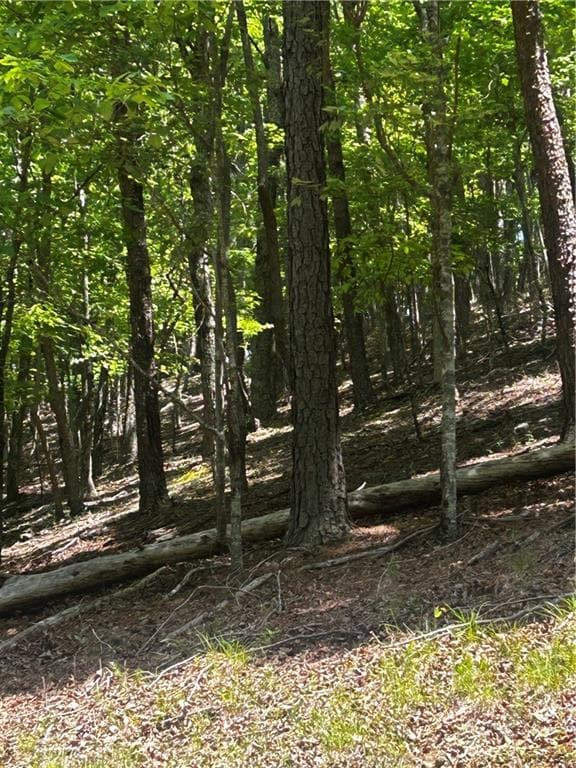 other for sale at 381 Hillside Drive, Waleska, GA 30183 — photo 3