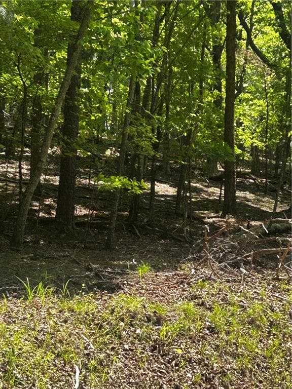 other for sale at 381 Hillside Drive, Waleska, GA 30183 — photo 4