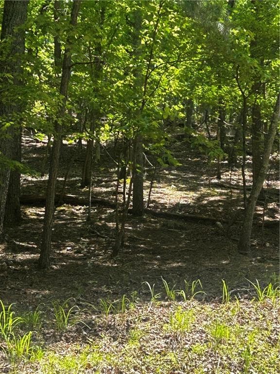 other for sale at 381 Hillside Drive, Waleska, GA 30183 — photo 5
