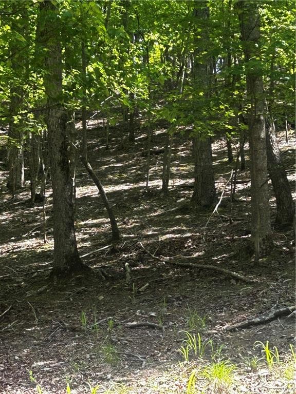other for sale at 381 Hillside Drive, Waleska, GA 30183 — photo 6
