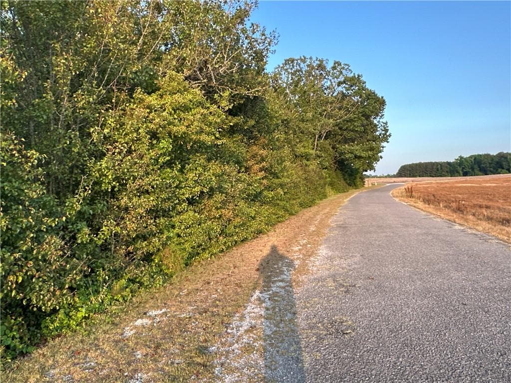 unimproved land for sale at Lot 7 County Road 520, Centre, AL 35960 — photo 5