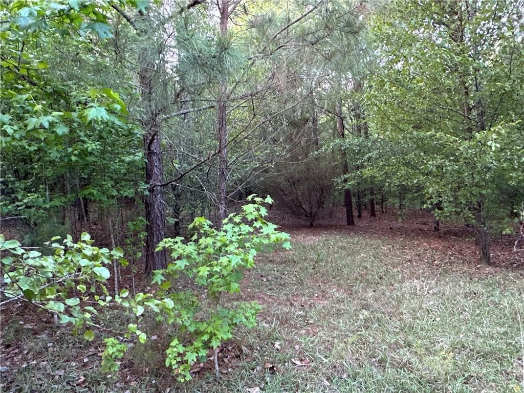 unimproved land for sale at Lot 7 County Road 520, Centre, AL 35960 — photo 8