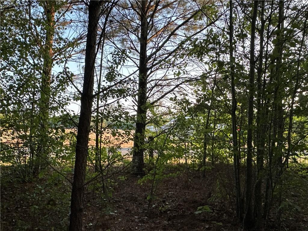 unimproved land for sale at Lot 7 County Road 520, Centre, AL 35960 — photo 9