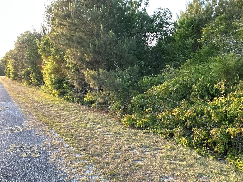 unimproved land for sale at Lot 8 County Road 520, Centre, AL 35960 — photo 5