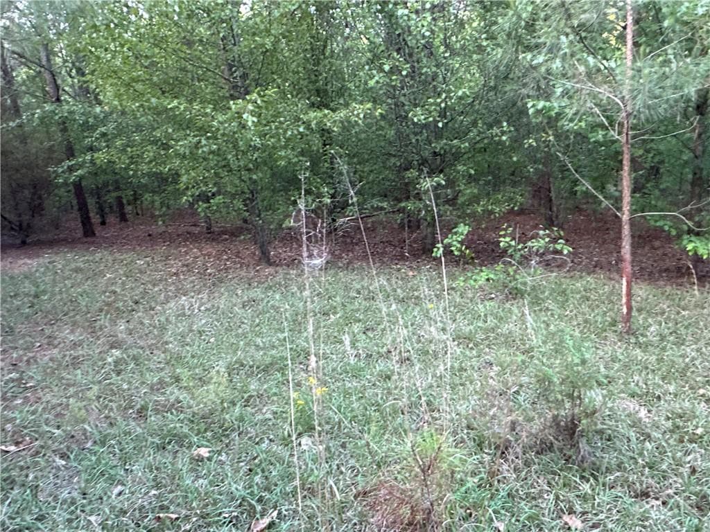 unimproved land for sale at Lot 8 County Road 520, Centre, AL 35960 — photo 7
