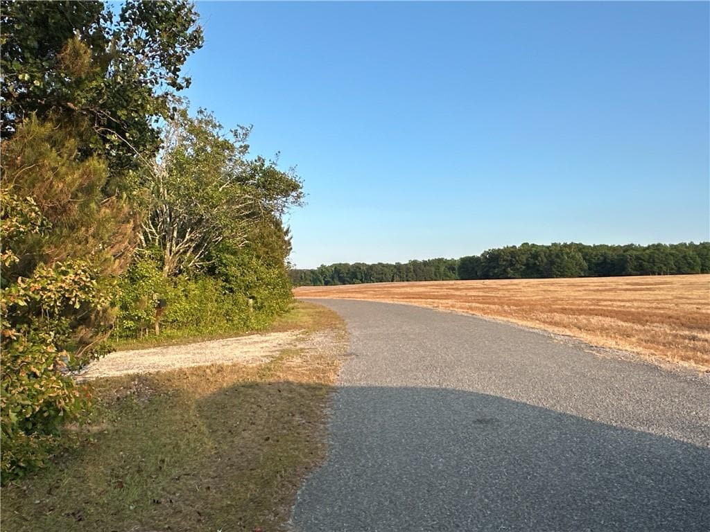 unimproved land for sale at Lot 8 County Road 520, Centre, AL 35960 — photo 10