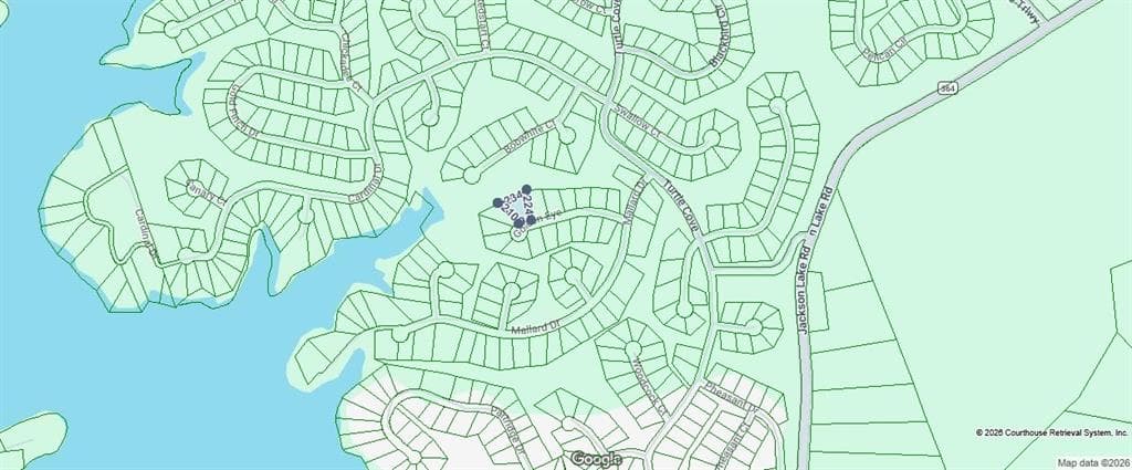 unimproved land for sale at 0 Goldeneye Court, Monticello, GA 31064 — photo 4