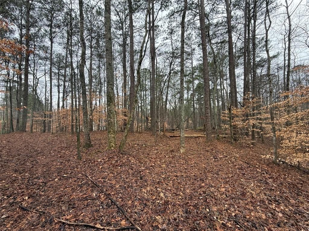 unimproved land for sale at 1666 Rock Springs Lane, Woodstock, GA 30188 — photo 2