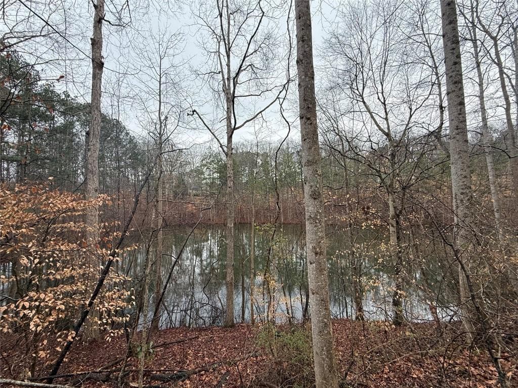 unimproved land for sale at 1666 Rock Springs Lane, Woodstock, GA 30188 — photo 4