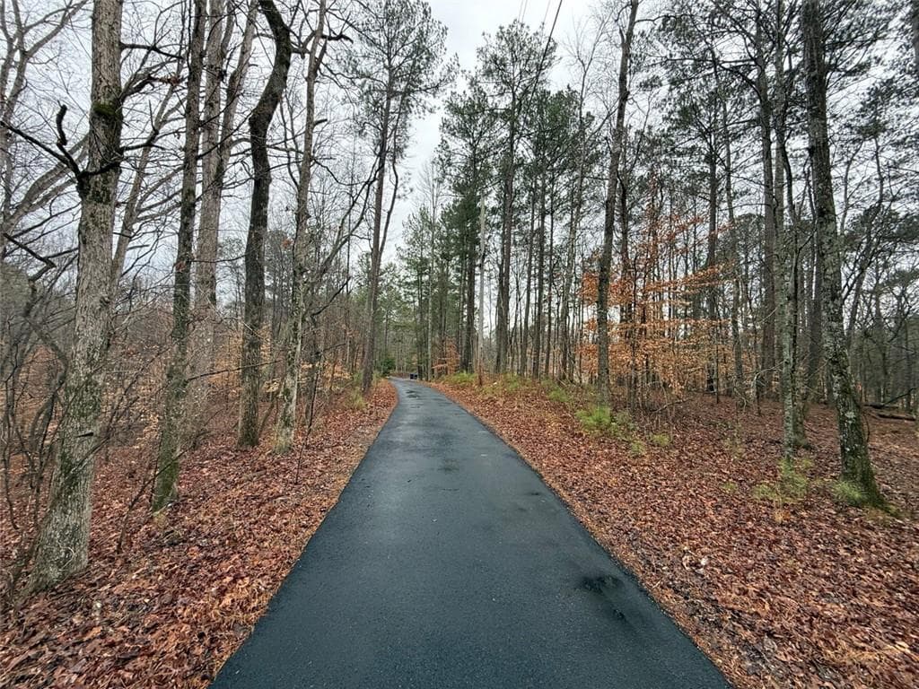 unimproved land for sale at 1666 Rock Springs Lane, Woodstock, GA 30188 — photo 5