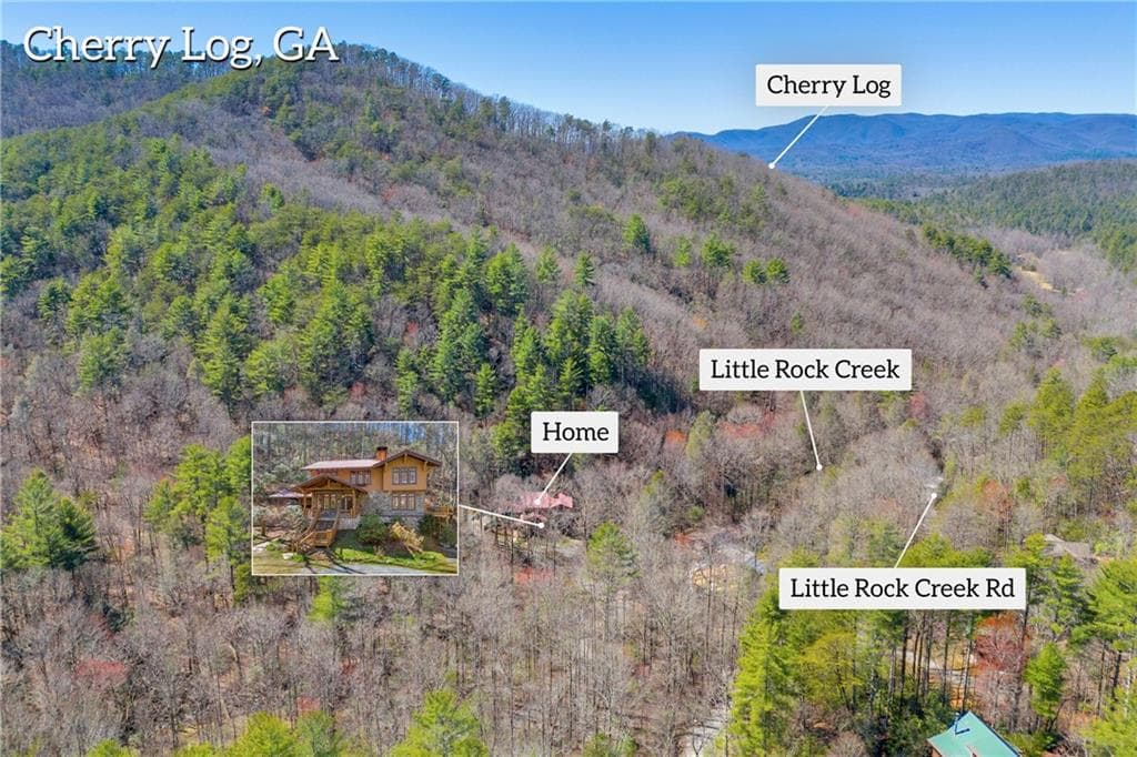 4 bedroom, 5 bathroom, 4,276 sq ft single family residence for sale at 740 Little Rock Creek Road, Cherry Log, GA 30522 — photo 2