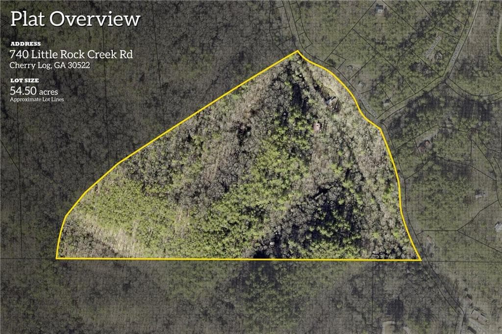 4 bedroom, 5 bathroom, 4,276 sq ft single family residence for sale at 740 Little Rock Creek Road, Cherry Log, GA 30522 — photo 4