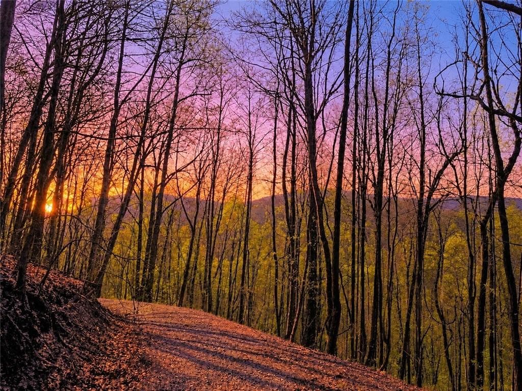 unimproved land for sale at 29 AC Hidden Valley Drive, Ellijay, GA 30536