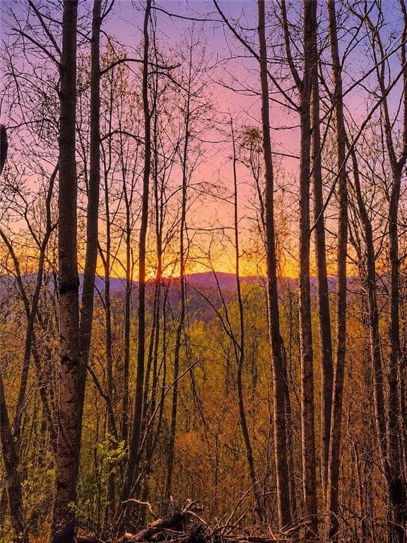 unimproved land for sale at 29 AC Hidden Valley Drive, Ellijay, GA 30536 — photo 2