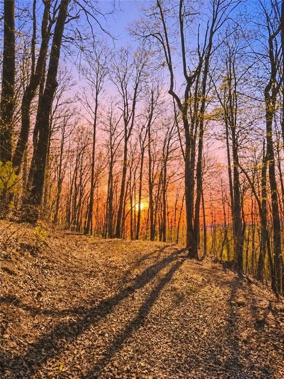 unimproved land for sale at 29 AC Hidden Valley Drive, Ellijay, GA 30536 — photo 3