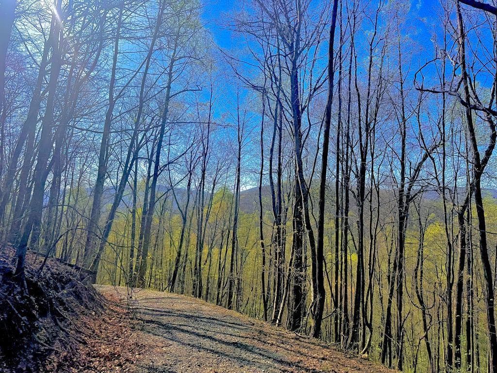 unimproved land for sale at 29 AC Hidden Valley Drive, Ellijay, GA 30536 — photo 4