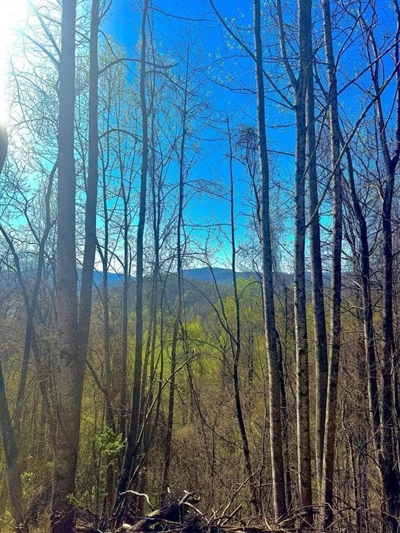 unimproved land for sale at 29 AC Hidden Valley Drive, Ellijay, GA 30536 — photo 5