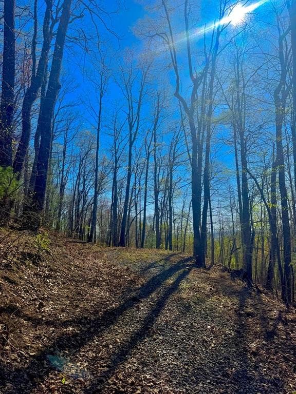 unimproved land for sale at 29 AC Hidden Valley Drive, Ellijay, GA 30536 — photo 6
