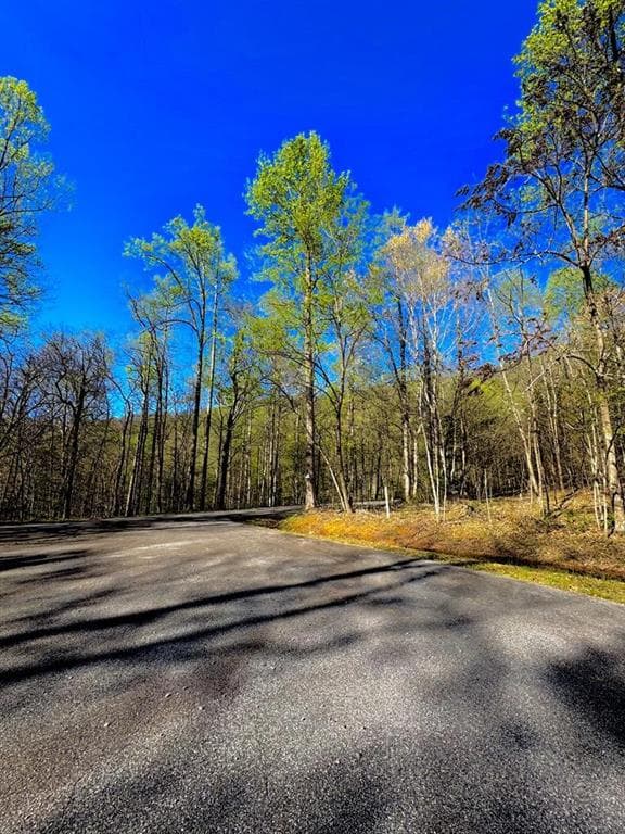unimproved land for sale at 29 AC Hidden Valley Drive, Ellijay, GA 30536 — photo 7