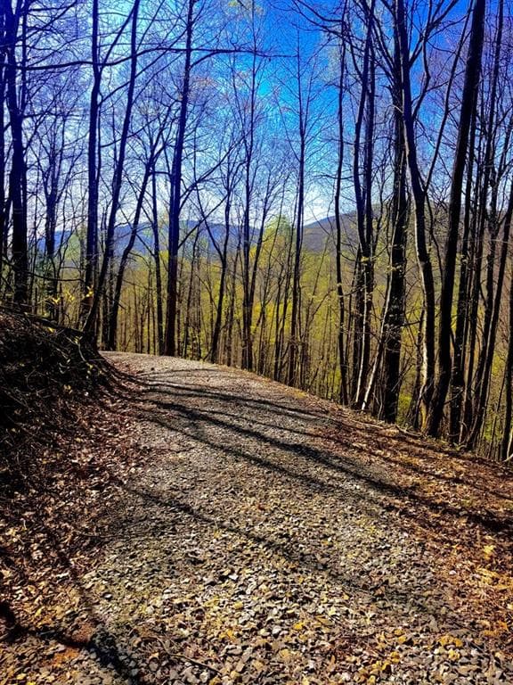 unimproved land for sale at 29 AC Hidden Valley Drive, Ellijay, GA 30536 — photo 8