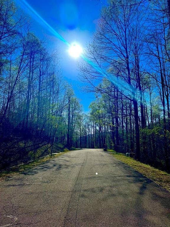 unimproved land for sale at 29 AC Hidden Valley Drive, Ellijay, GA 30536 — photo 9