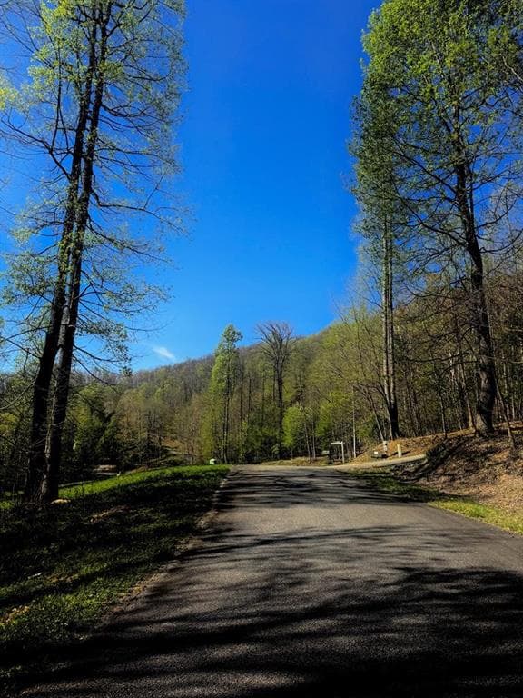 unimproved land for sale at 29 AC Hidden Valley Drive, Ellijay, GA 30536 — photo 10