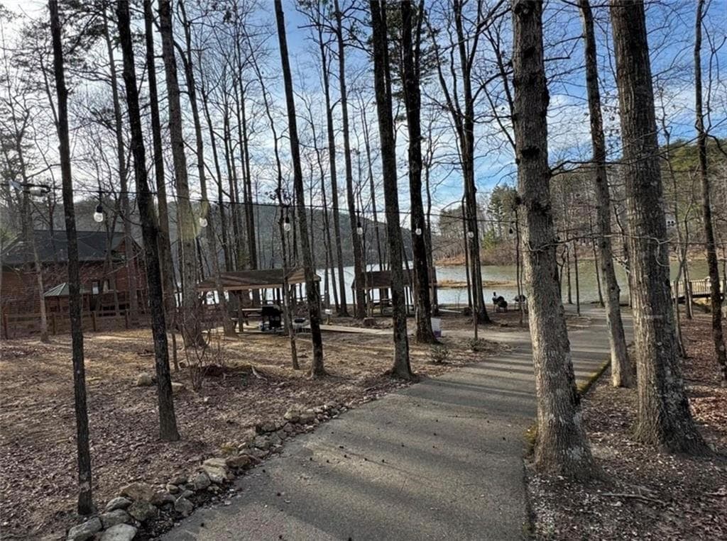 unimproved land for sale at 0 Lot 519 Mulberry Circle, Jasper, GA 30143 — photo 5