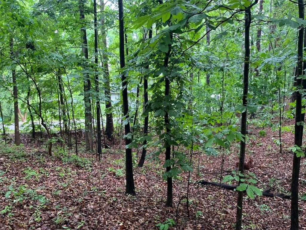 single family residence for sale at 0 Lake Club Drive, Lavonia, GA 30553 — photo 4