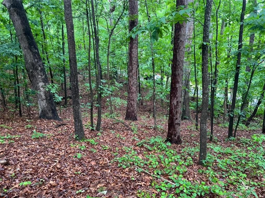 single family residence for sale at 0 Lake Club Drive, Lavonia, GA 30553 — photo 5