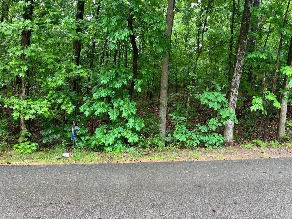 single family residence for sale at 0 Lake Club Drive, Lavonia, GA 30553 — photo 7