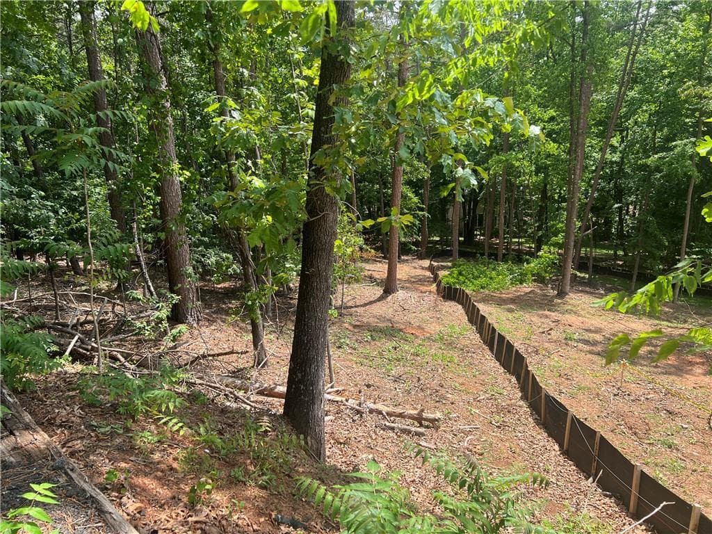 00 Old Atlanta Lot Road