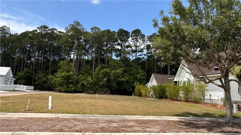 unimproved land for sale at 202 Placid Road, St. Marys, GA 31558 — photo 2