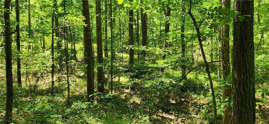 unimproved land for sale at 4980 Wynship Lane, Snellville, GA 30039 — photo 2