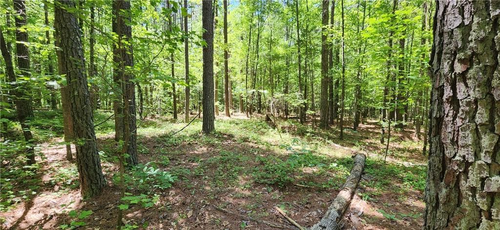 unimproved land for sale at 4980 Wynship Lane, Snellville, GA 30039 — photo 3