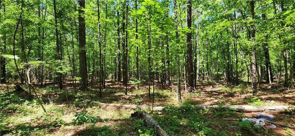 unimproved land for sale at 4980 Wynship Lane, Snellville, GA 30039 — photo 4