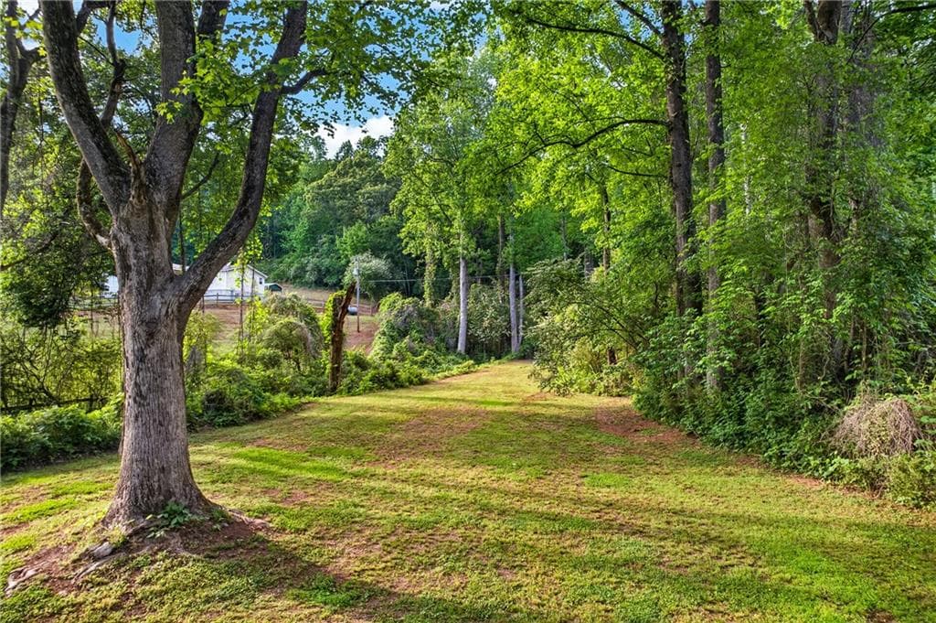 5 bedroom, 3 bathroom, 8,096 sq ft single family residence for sale at 165 Porter Springs Road, Dahlonega, GA 30533 — photo 6