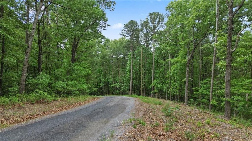 single family residence for sale at 1563 Dover Circle, Ranger, GA 30734