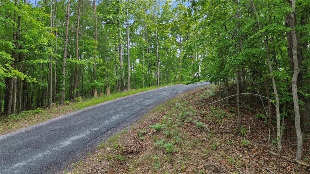 single family residence for sale at 1563 Dover Circle, Ranger, GA 30734 — photo 2