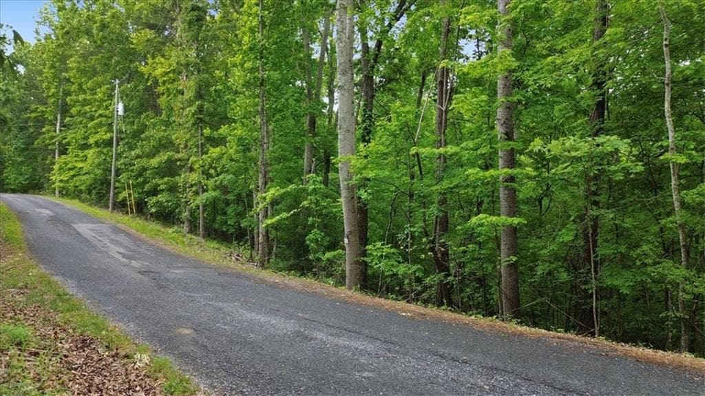 single family residence for sale at 1563 Dover Circle, Ranger, GA 30734 — photo 5