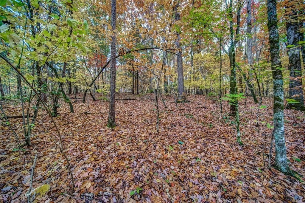 single family residence for sale at 543 Cove Lake Drive, Marble Hill, GA 30148