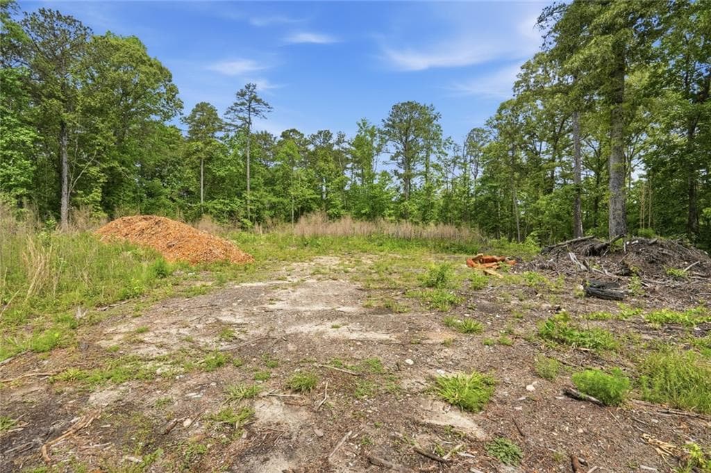 unimproved land for sale at 5810 Joe Jerkins Boulevard, Austell, GA 30106 — photo 10