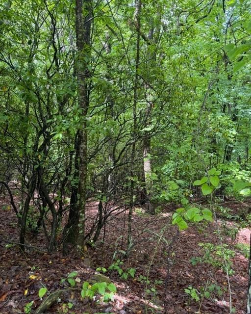 single family residence for sale at 00 Soaring Hawk Trail, Cleveland, GA 30528 — photo 4