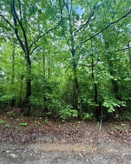 single family residence for sale at 00 Soaring Hawk Trail, Cleveland, GA 30528 — photo 5