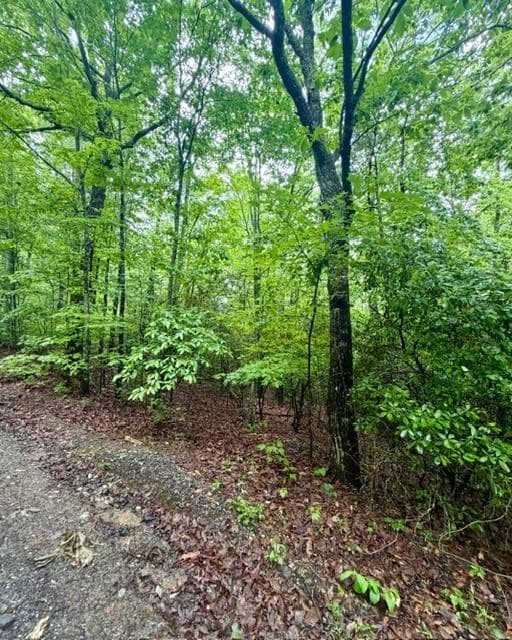 single family residence for sale at 00 Soaring Hawk Trail, Cleveland, GA 30528 — photo 6